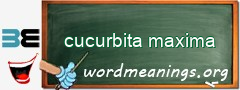 WordMeaning blackboard for cucurbita maxima